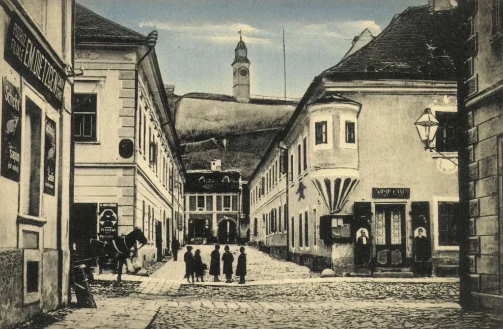 Read more about the article Petrovaradin